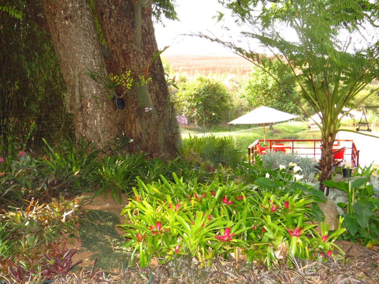 Eden Cottage White River Exteriér fotografie